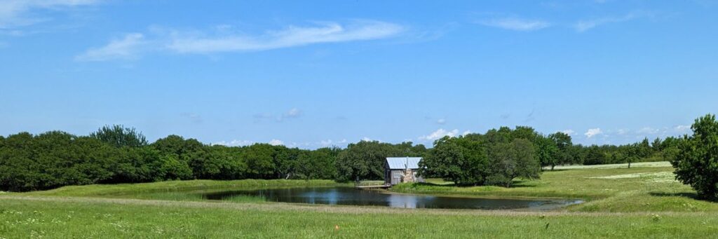 hokkaido ranch for Texas honey